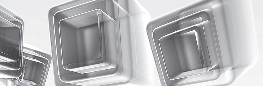 LRRAA biedru kopsapulce un vēlēšanas