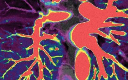 Tendences kvalitatīvu izmeklējumu nodrošināšanā, 22.11.2025., Teams