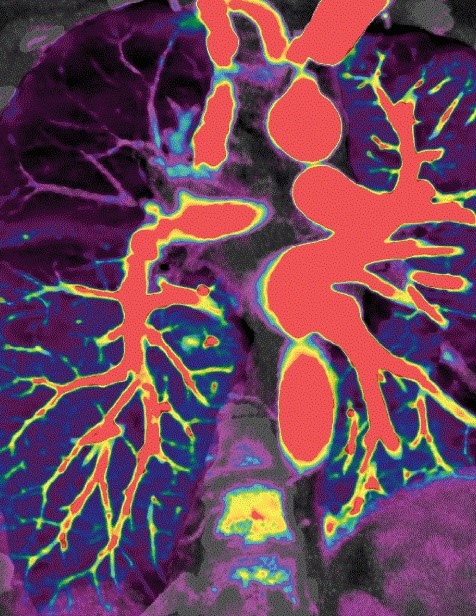 Tendences kvalitatīvu izmeklējumu nodrošināšanā, 22.11.2025., Teams